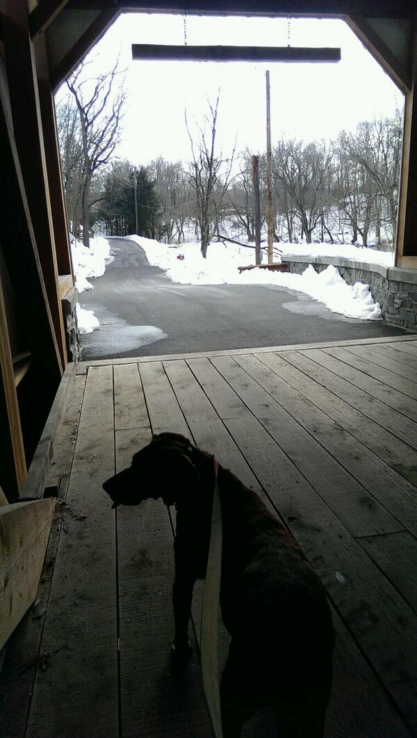 Molly and I enjoying the fresh wood smell of the reconstructed Siegrist Rd Bridge