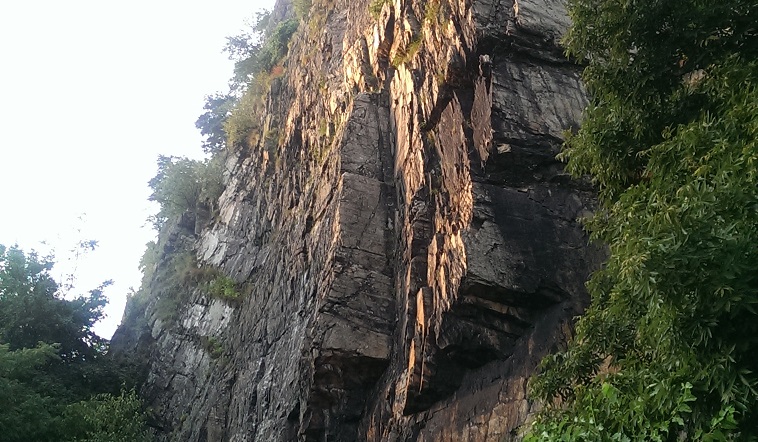 IMAG2951 (1)
