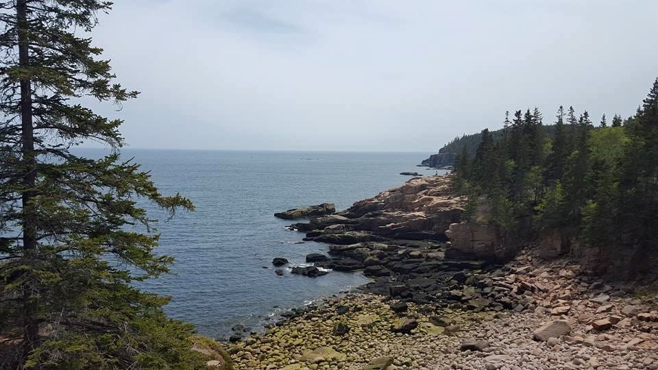 Maine Goes International - October 8-14