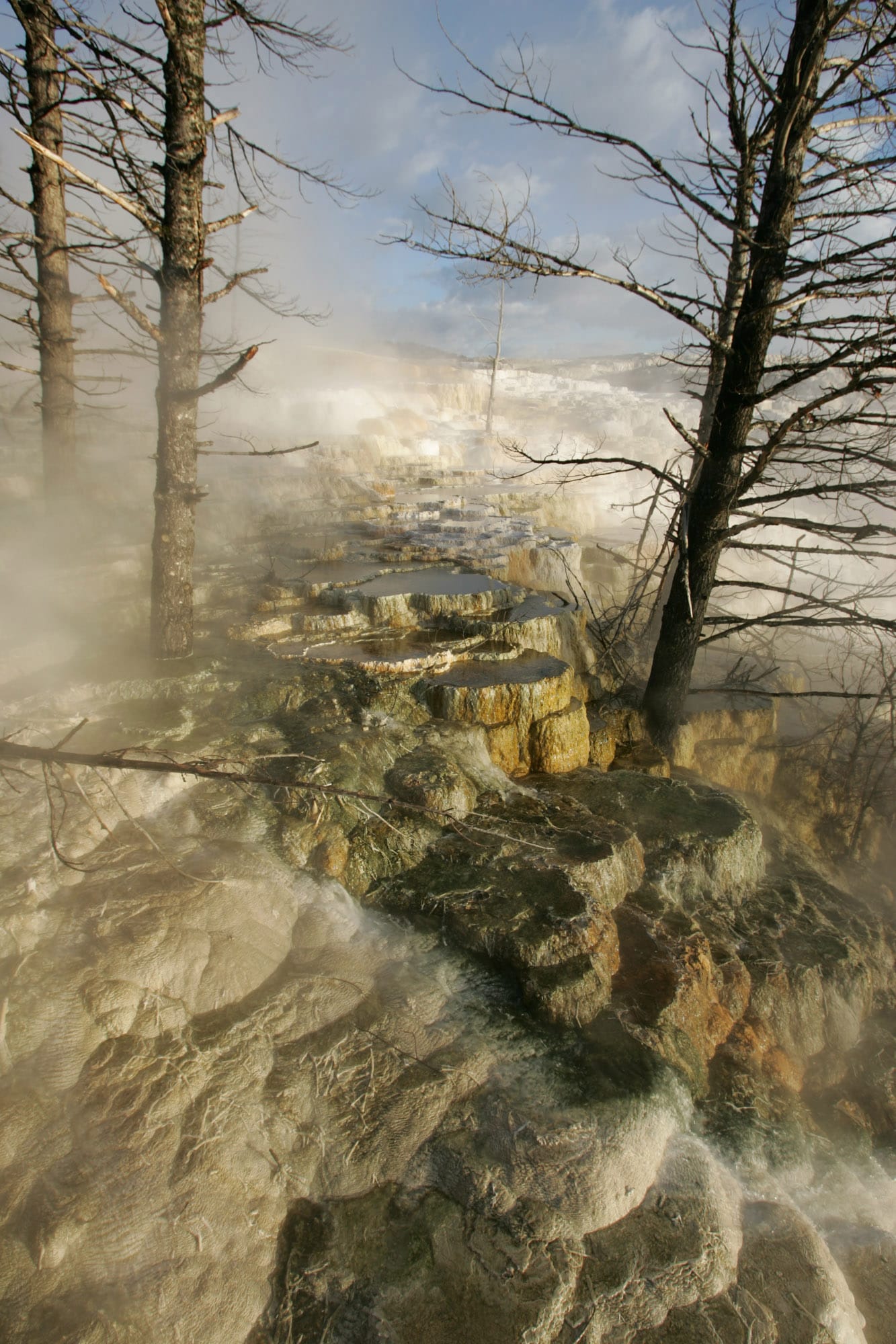 Montana and Wyoming National Park Grandeur - Join us for a trip in August